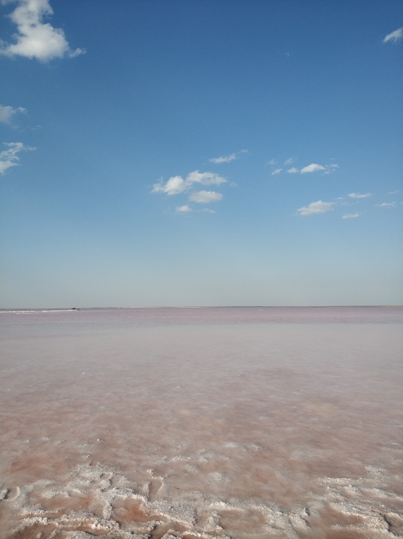 Что посмотреть в Прибрежном: розовое озеро 