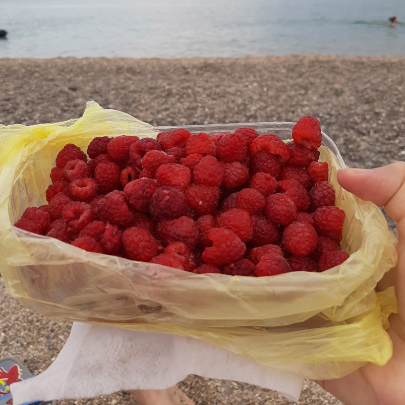 Отдых в Крыму в июле: малина 