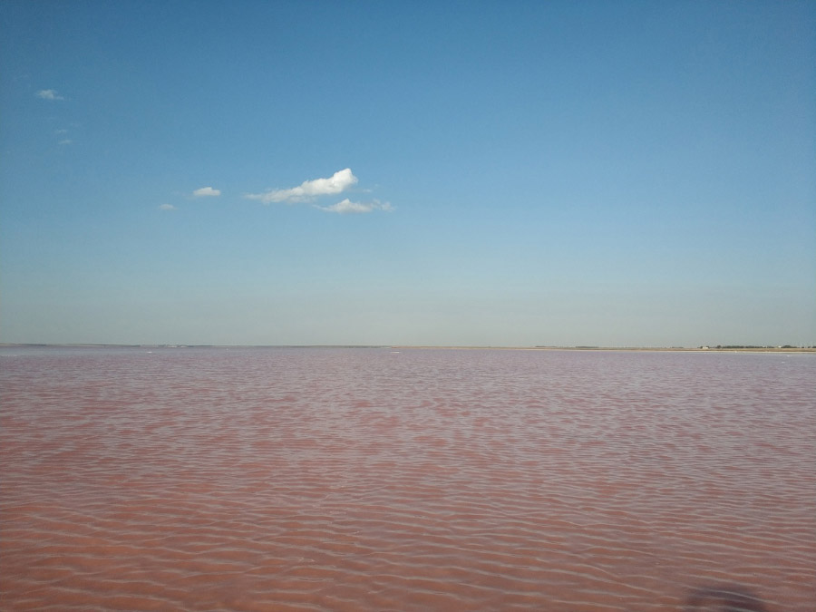 Что посмотреть в Евпатории: розовое озеро