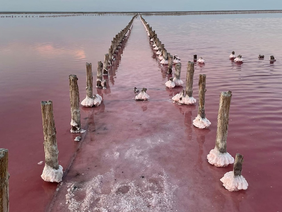 Розовое озеро на Западном побережье Крыма 